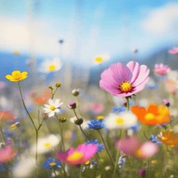 Call of the Wildflower Soap